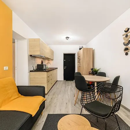 Cozy Near Old Town Agriselor Street * Braşov